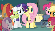 Fluttershy explique le plan.