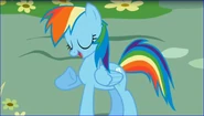 Rainbow dash presents