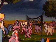 Having a big party in the Paradise Estate