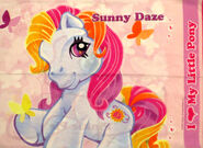 Sunny Daze on one side of a two-sided pillow case.