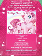 Tulip Twinkle's Backcard Story.