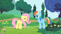 Fluttershy fa il tifo