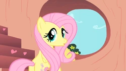 Fluttershy mentre si preoccupa a proposito di Rainbow Dash