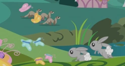 Altri animali