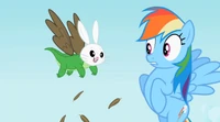 Rainbow Dash guarda l'ibrido Angel-Gummy-Gufolisio nel suo sogno