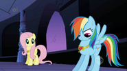 Rainbow Dash rappresenta la lealtà