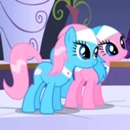 Spa ponies