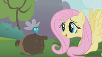 Fluttershy incontra un paraspiritello