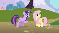 Twilight e Fluttershy