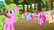 Everypony watching S02E15