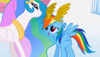 Rainbow Dash vince la gara