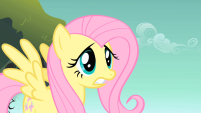 201px-Fluttershy1 S01E15