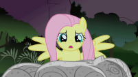 201px-Fluttershy34 S01E17