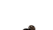 Www.GIFCreator.me MBZvO3.gif