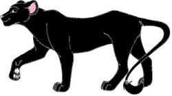 Shadowpaw