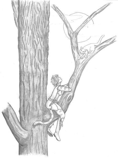 Aori beim Klettern in einem Baum