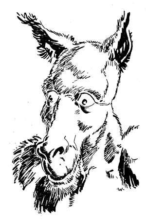 Der  , von . Ausschnitt aus , S