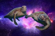 Turtles