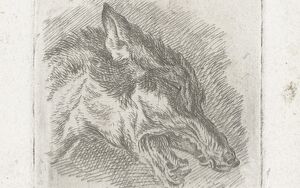 Wolf mit offenem Maul