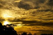 Yellow-Sky-White-Grey-Horizon-Sunset-Gold-Clouds-426259