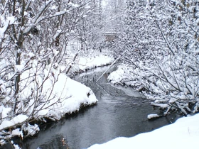 Winter Stream by Mizuyasha[
http://mizuyasha.deviantart