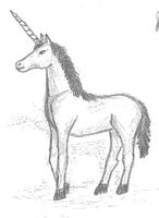 Einhorngöttin Jaffna