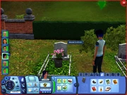 Skullfinder's grave in The Sims 3.
