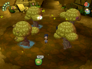 Treasure Cave