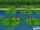 Lily Pad Rapids