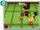 Duelo de Sim-Fu