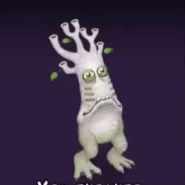 Rare Rootitoot