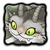 Котализатор | Монстропедия | Fandom