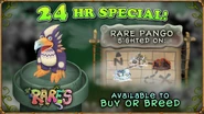 Rare Pango 24 Hour Special (October 21)