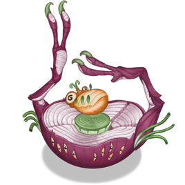 Rare Squot