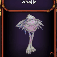 Whajje