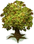 PlantTreeLarge