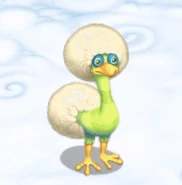 Muting Adult Dandidoo