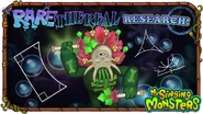Rarethereal Research