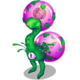Green Prismatic Dandidoo