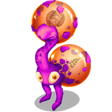 Purple Prismatic Dandidoo