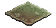 A normal Bubblerite Path