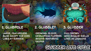 Glubber Life Cycle