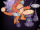 Epic Shellbeat