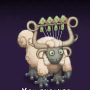 Rare Woolabee
