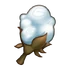 Хлопок