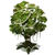 Medium Tree (Plant Island - Spooktacle)