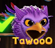 TawooO