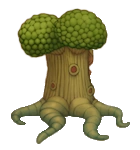 Oaktopus back view.png (26 KB) Oaktopus back view