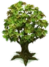 PlantTreeMedium