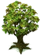 PlantTreeMedium